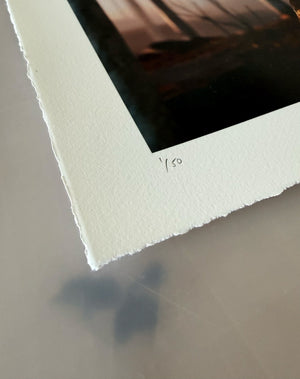 The Pinocchio Set, 2026, 2x signed unframed editions