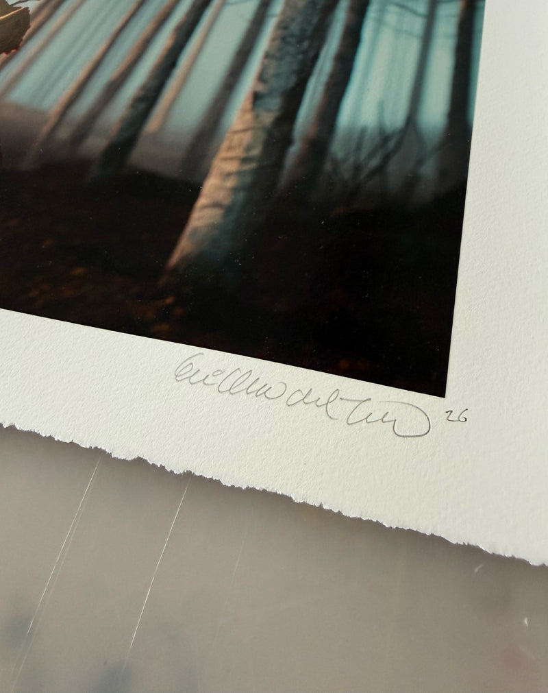 The Pinocchio Set, 2026, 2x signed unframed editions